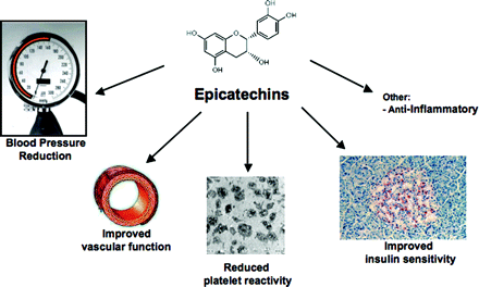 benefits of chocolate