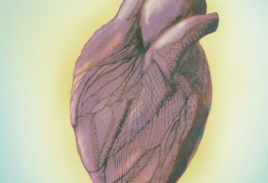 cholesterol in food