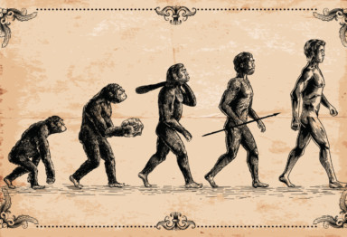 An illustration of primate evolution