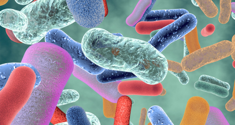 Closeup of gut microbes