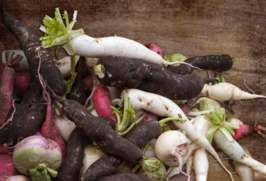 A pile of root vegetables