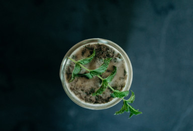 An iced coffee topped with a sprig of mint