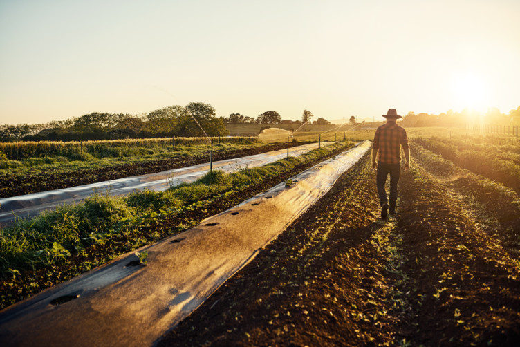 Eating Meat Doesn’t Harm the Environment as Much as You Think