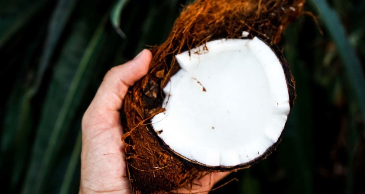 Hand holding halved coconut