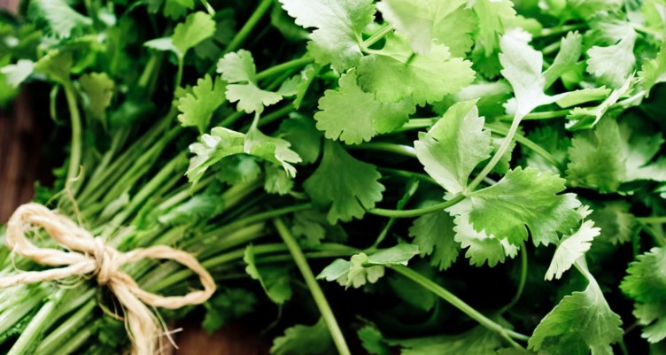Here’s How to Do the Whole30 and Be Bulletproof_cilantro_herbs seasoning
