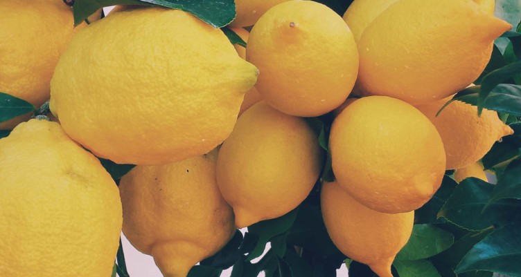 12 Best Vegetables and Fruit to Eat Right Now_lemons
