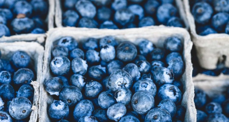 Cartons of blueberries