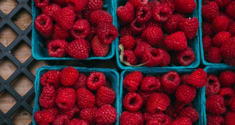 Raspberries in cartons