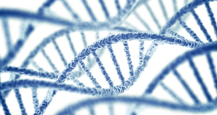 DNA helixes on white background