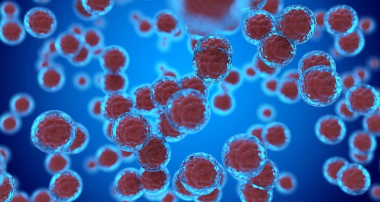 Illustration of cells on blue background