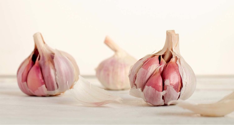 Three heads of garlic on white table