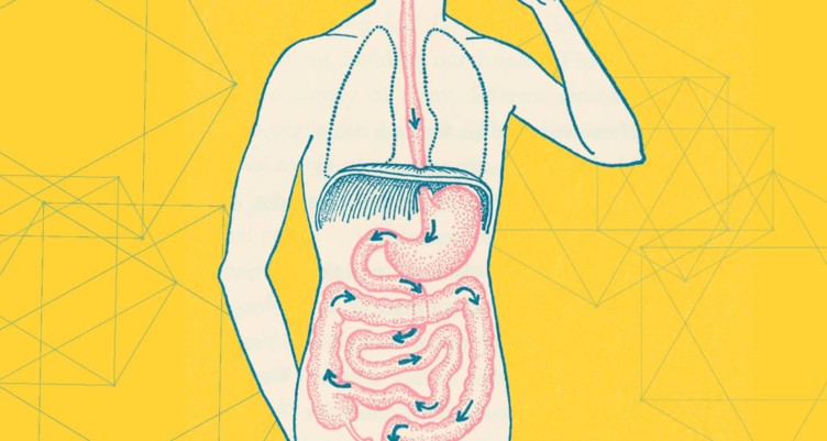 How to Improve Gut Health and Support Your Microbiome