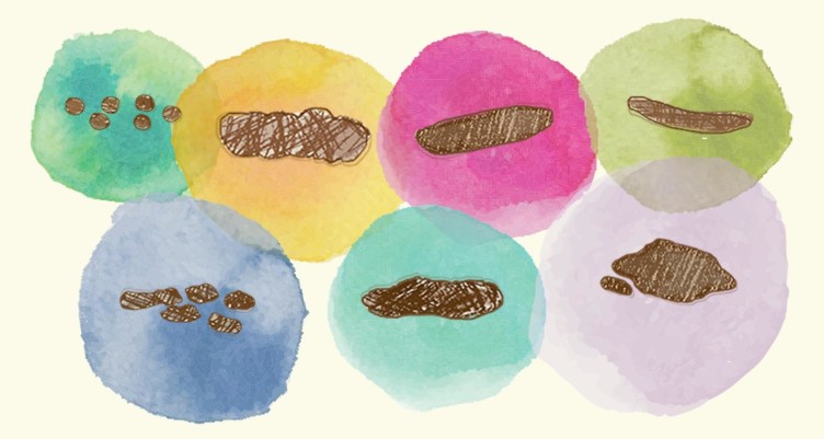 This Poop Chart Tells You Everything You Need to Know About Fixing Your Gut