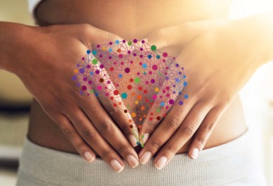 Your Second Brain (In Your Gut) Removes Waste, Says Study_header