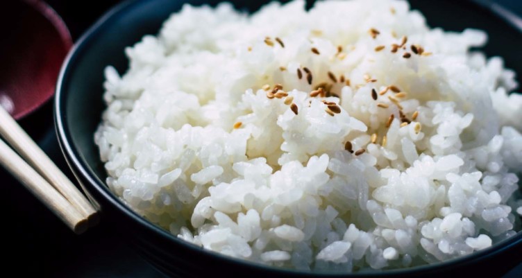 synbiotics_What are prebiotics