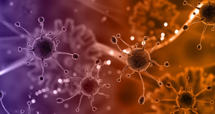 synbiotics_What are synbiotics