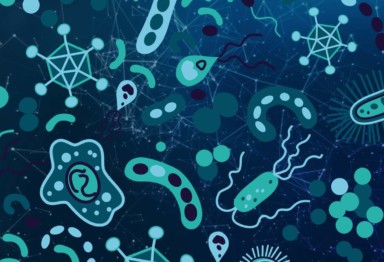 synbiotics_header