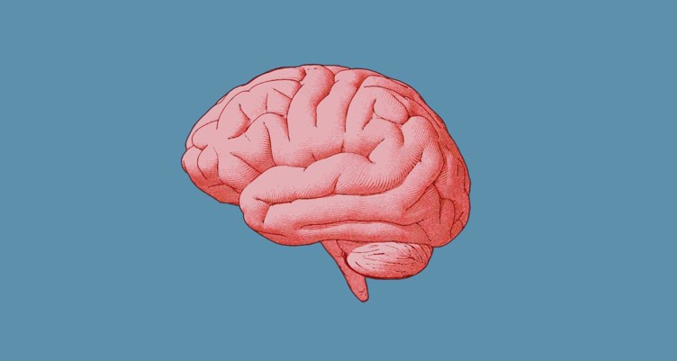 Brain on blue background