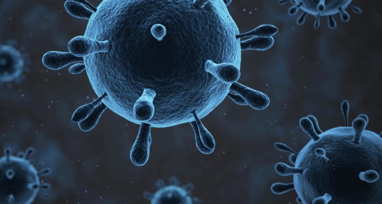 image of gut microbes