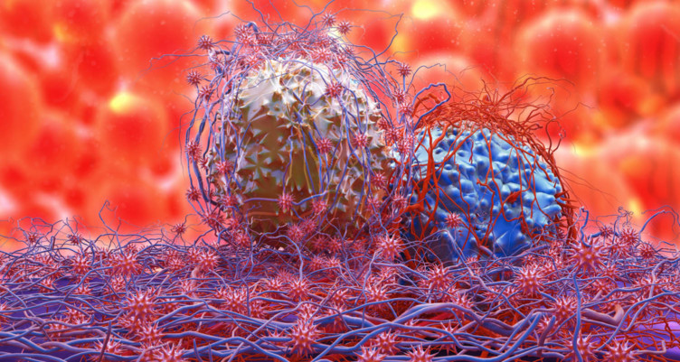 Closeup of cells displaying inflammation