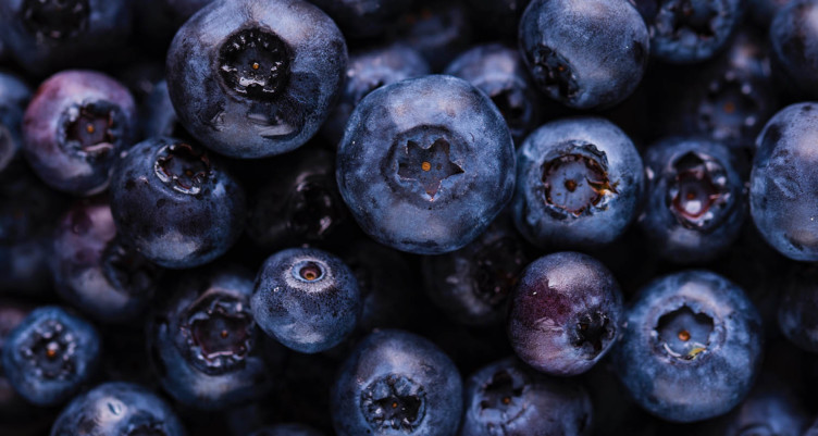 polyphenols and inflammation