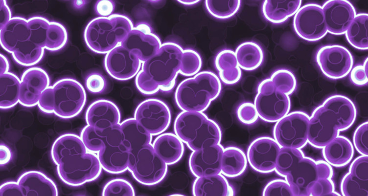 Digestive enzymes are popular health supplements, but it’s hard to know where to start. Get your guide on how digestive enzymes help and what to look for.