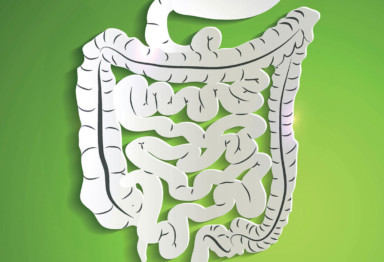 Digestive enzymes guide