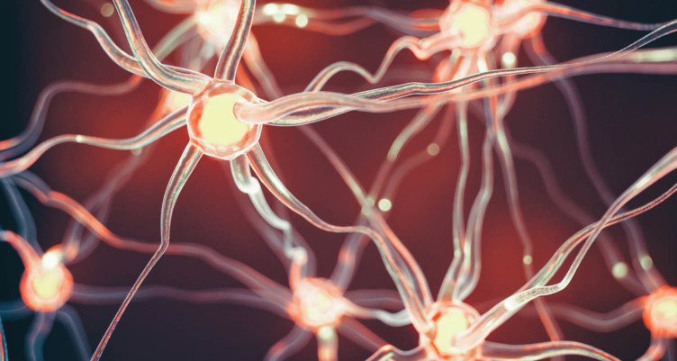 Illustration of neurons