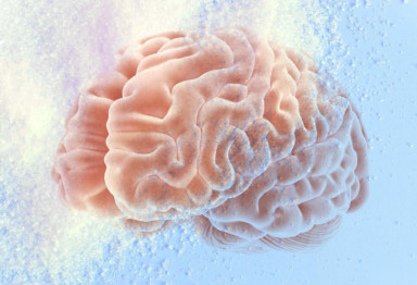 sugar bad for brain