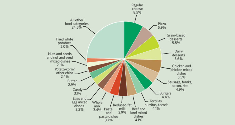 best sources of saturated fat