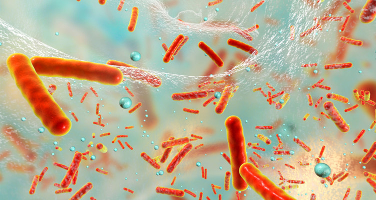 Closeup of antibiotics and bacteria