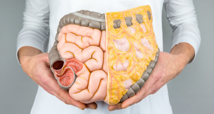Um olhar mais atento ao intestino