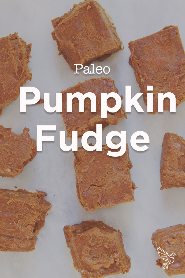Get your fall fix with this easy paleo pumpkin fudge recipe -- packed with skin-smoothing collagen protein, warm spices, and a touch of sweetness.