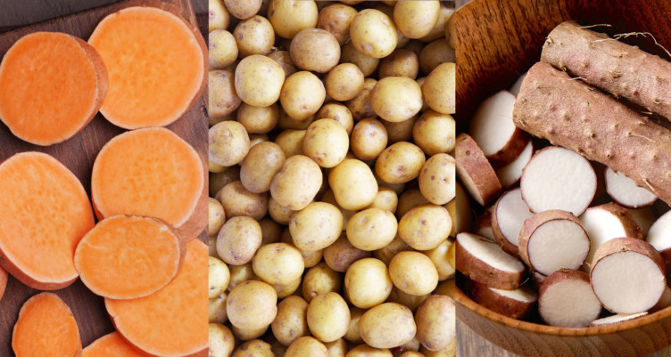 sweet potato vs yam