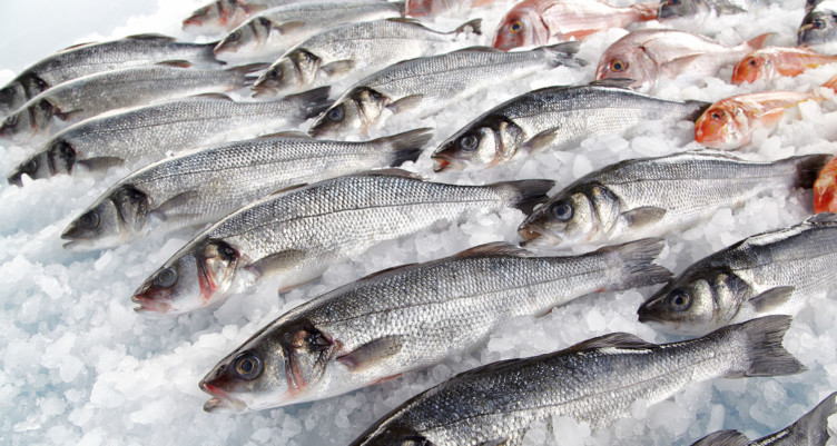 Display of fish on ice