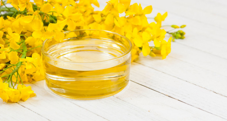 Container of canola oil on white table