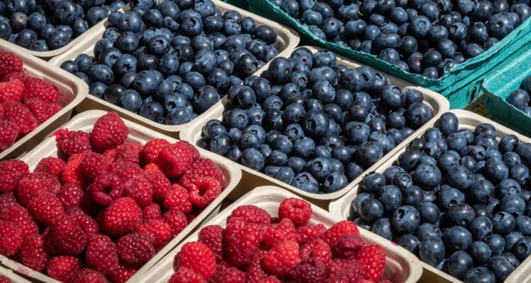 Selection of berries in rows