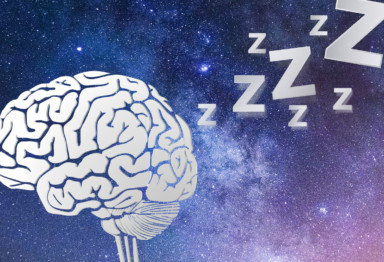 Graphic of brain during sleep