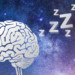 Graphic of brain during sleep