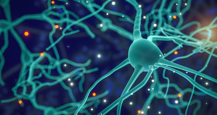 Closeup of neuron illustration