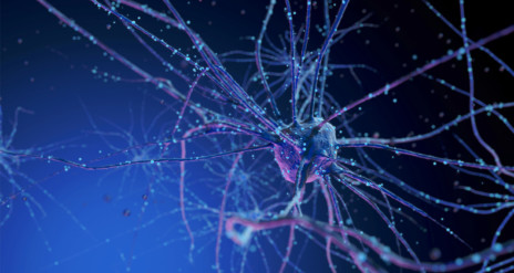 Illustratie van neuron op blauwe achtergrond