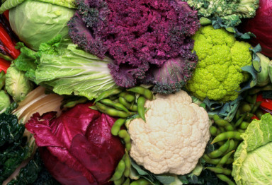 Variety of colorful vegetables