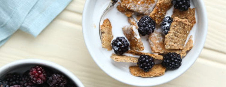 When you crave a sweet and crunchy breakfast without the carbs, make these keto cereal recipes -- including puffs, granola, and even oatmeal.