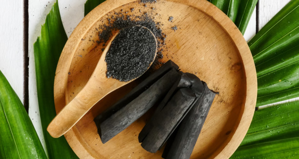 Activated Charcoal Benefits, Uses and Where to Buy - Where To Buy Activated Charcoal For Mold