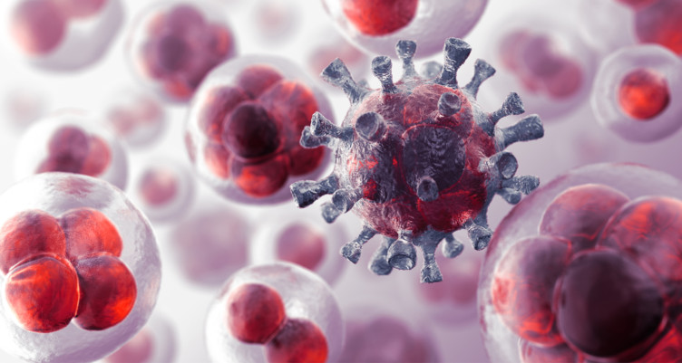 moringa benefits fights cancer