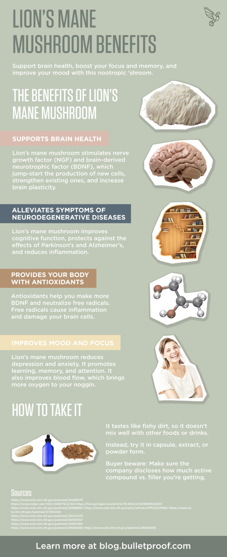 Lion’s Mane Mushroom Benefits Boost Memory, Focus & Mood With This