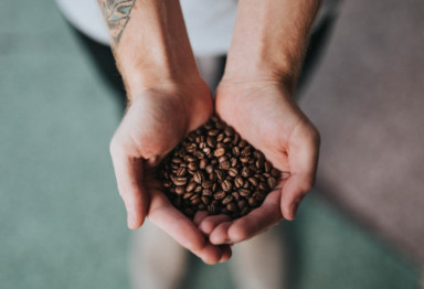 hands offering coffee beans