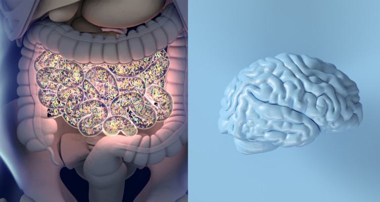 Gut health associated with brain health