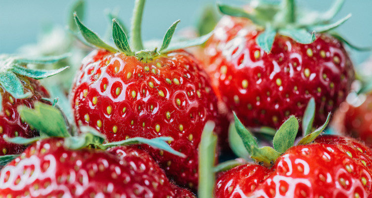 Strawberries abundant in fisetin