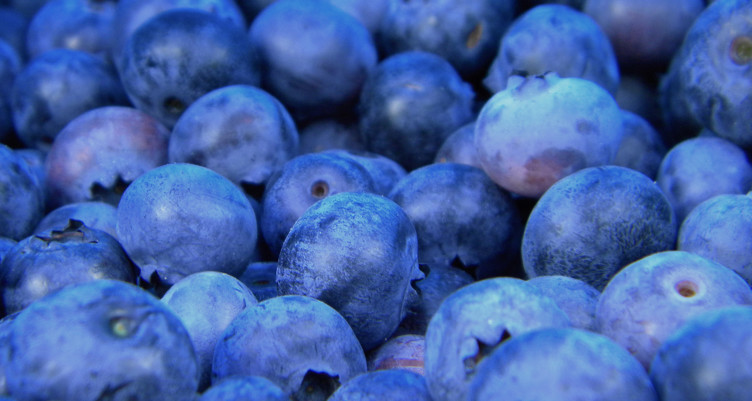 Blueberries for polyphenol anti-aging supplements